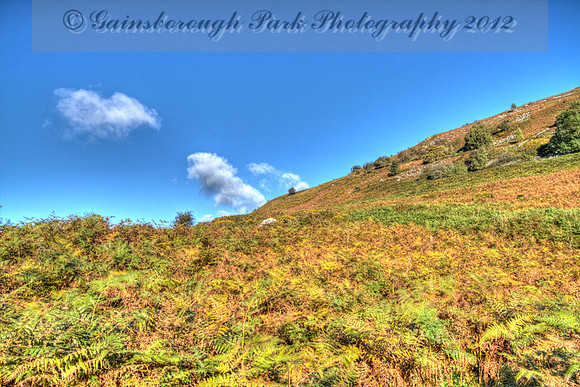 IMG_9760_1_2_tonemapped