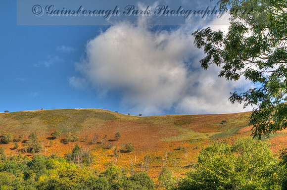 IMG_9932_3_4_tonemapped